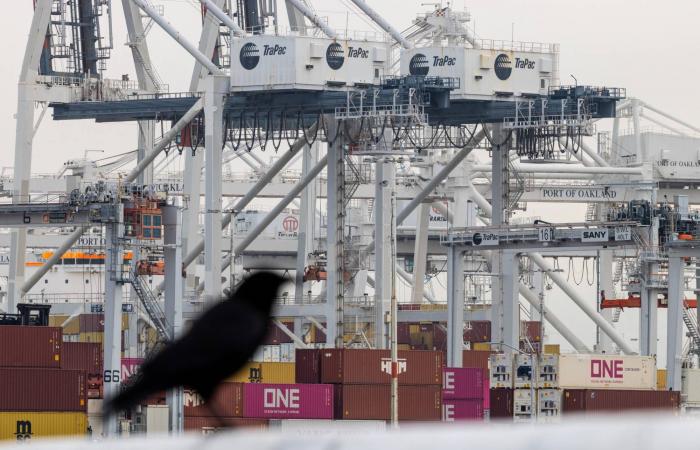 مفوض
      التجارة
      الأوروبي:
      واشنطن
      أكدت
      التزامها
      بالاتفاق
      التجاري