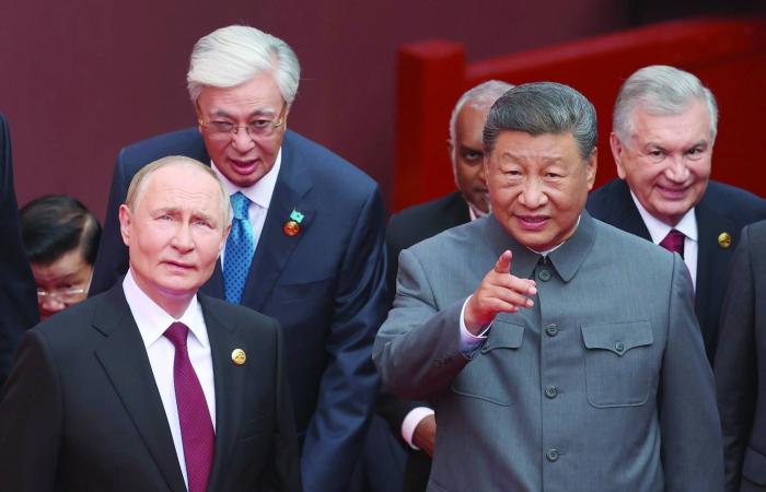 نيوزيلندا
      تدعم
      استبعاد
      أندرو
      من
      ترتيب
      ولاية
      العرش
      البريطاني