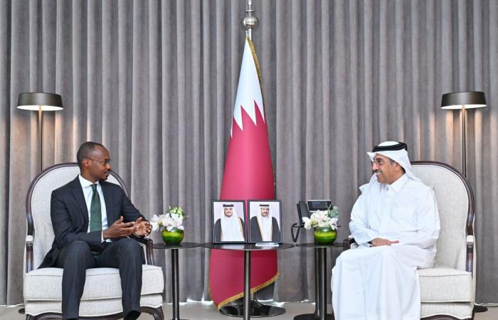 وزير العمل يجتمع مع السفير الرواندي