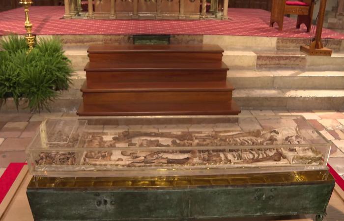 عرض رفات القديس فرنسيس الأسيزي للجمهور لأول مرة منذ 800 عام