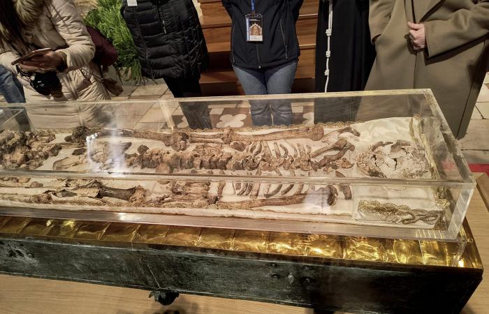 عرض رفات القديس فرنسيس الأسيزي للجمهور لأول مرة منذ 800 عام