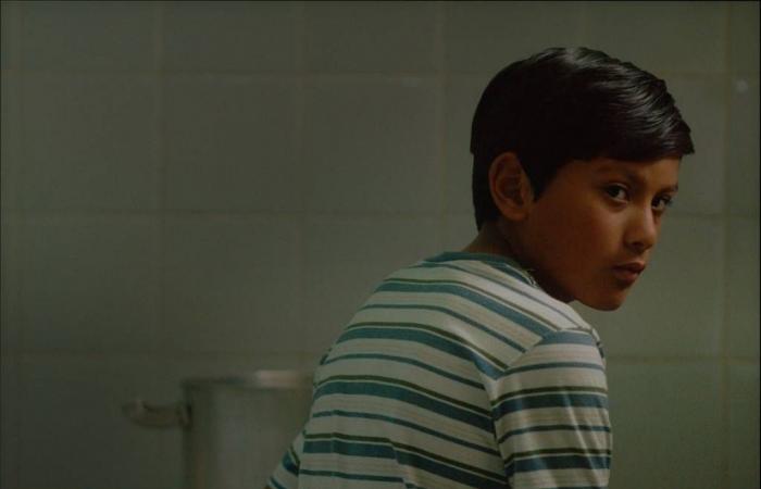 «قطار
      النهر»...
      رحلة
      طفولية
      لاختبار
      المجهول
      في
      بوينس
      آيرس