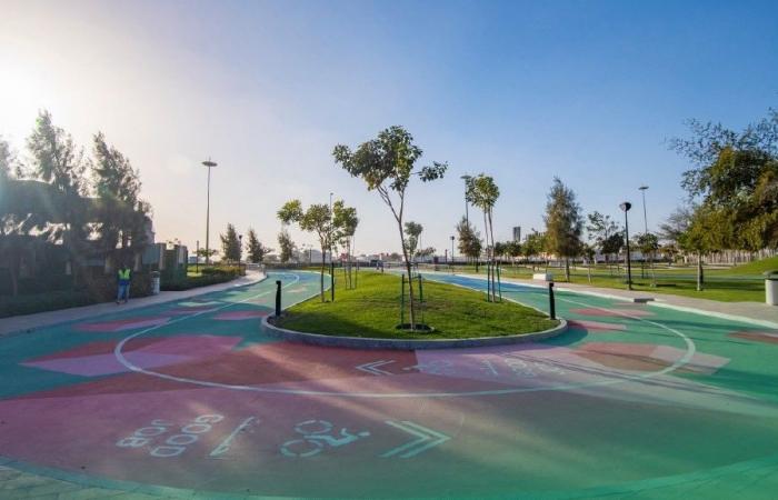 بالأرقام.. "أشغال" تكشف عن أبرز مشاريعها في يوم البيئة القطري