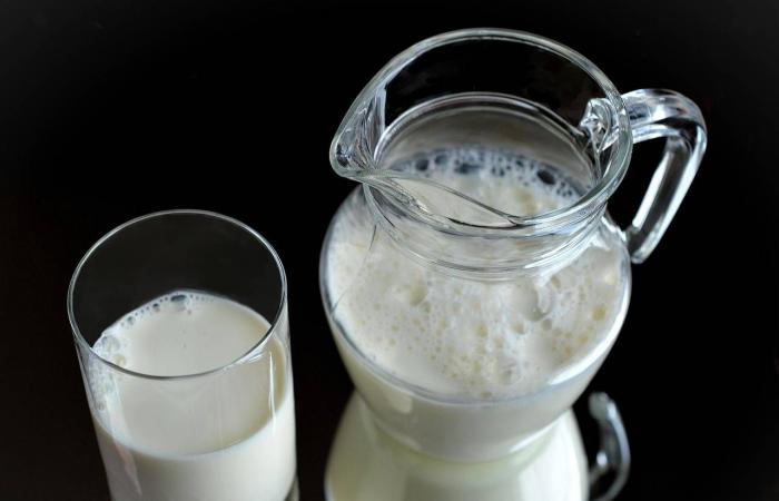 ما
      فوائد
      شرب
      الحليب
      يومياً؟