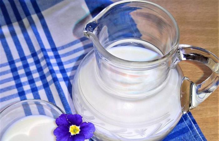 الخبز
      ليس
      العدو...
      لكن
      كيف
      تختار
      ما
      يناسب
      صحتك؟