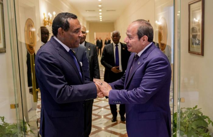 «لا
      عودة
      قسرية»
      من
      مصر...
      تأكيدات
      سودانية
      لحل
      أزمات
      الوافدين