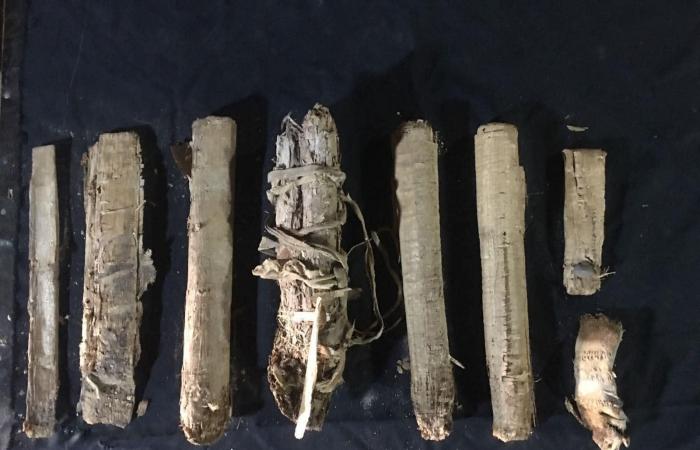 مصر.. العثور على خبيئة توابيت ملونة لـ"منشدي آمون" فى الأقصر