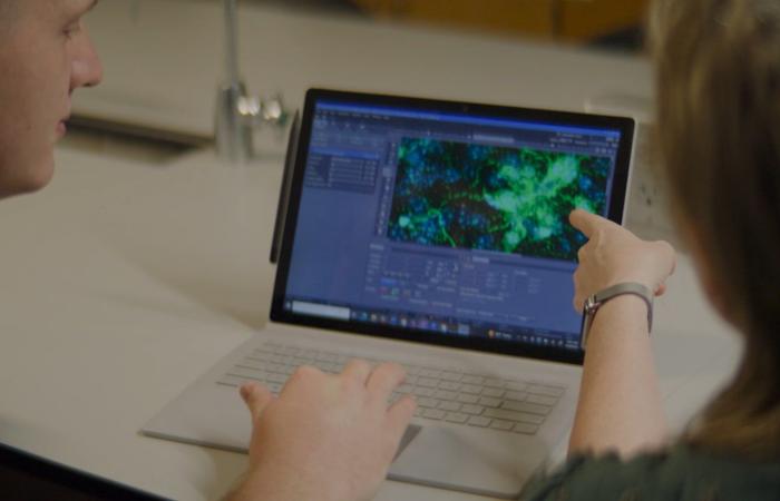 هل تُبطئ الأضواء الوامضة والأصوات مرضَ الزهايمر؟