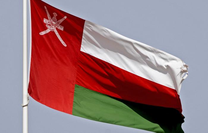 للمرة الثانية.. إعلام عُماني رسمي: استهداف ميناء الدقم بطائرات مسيّرة