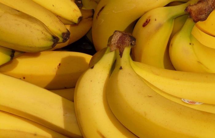 الكاجو
      أم
      الفستق:
      أيهما
      أفضل
      لصحة
      القلب؟