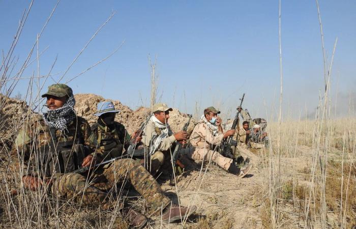 موت
      «ملك
      النفط»
      يكشف
      «إمبراطورية
      جرف
      الصخر»
      في
      العراق