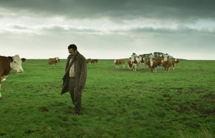 اللبنانيون
      يلجأون
      إلى
      الذكاء
      الاصطناعي
      لمعرفة
      نهايات
      المسلسلات
      الرمضانية