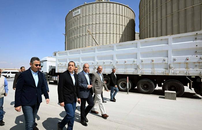 مصر
      لتأمين
      احتياجاتها
      البترولية
      والغذائية
      في
      ظل
      الحرب
      الإيرانية