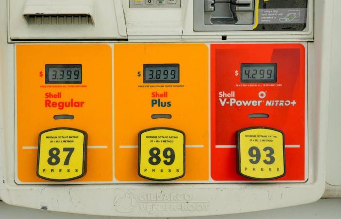 أكبر
      شركة
      نفط
      هندية
      تحجز
      شحنات
      خام
      من
      البحر
      الأحمر