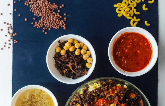 نجمة
      مسلسل
      «بريدجرتون»
      تجدد
      الجدل:
      الملكة
      «شارلوت»
      كانت
      سمراء
      البشرة