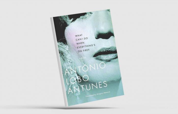 لطفية
      الدليمي
      الشاهدة
      على
      تحوُّلات
      زمن
      عراقي
      عاصف