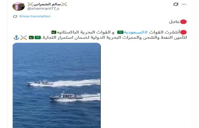 فيديو متداول لـ"انتشار قوات بحرية سعودية وباكستانية لتأمين النفط".. ما حقيقته؟