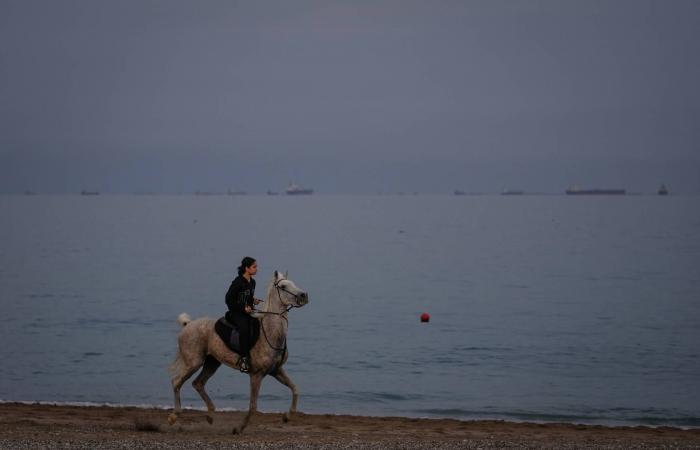 معهد
      «إيفو»:
      الحرب
      في
      إيران
      تهدد
      بخفض
      توقعات
      النمو
      الألماني
      0.2
      %