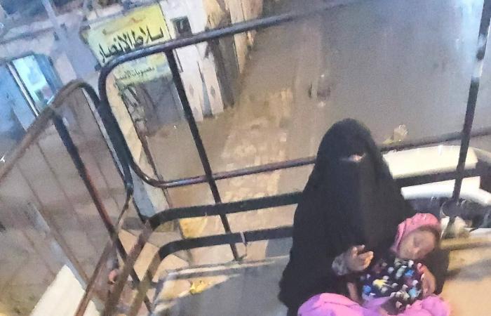 «الجامعة
      العربية»:
      اعتماد
      الدستور
      الصومالي
      «خطوة
      تاريخية»
      لاستكمال
      بناء
      الدولة