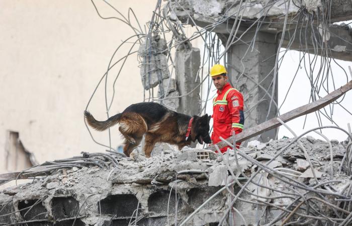 واشنطن
      تؤكد
      أنها
      قصفت
      نحو
      6
      آلاف
      هدف
      منذ
      بدء
      الحرب
      على
      إيران