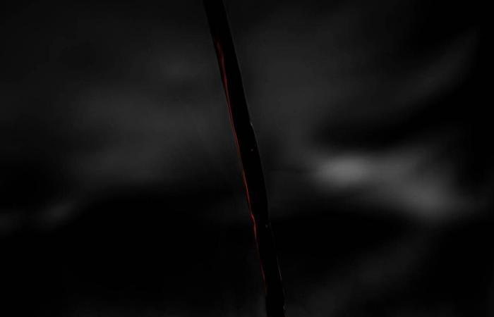 أطعمة
      سحرية
      لحرق
      الدهون...
      اكتشف
      11
      خياراً
      يعزز
      الأيض