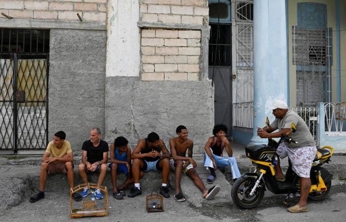 دياز
      كانيل
      يؤكد
      المحادثات
      مع
      إدارة
      ترمب
      لإنهاء
      أزمة
      كوبا