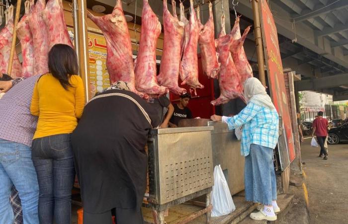 مصر
      تؤكد
      ضرورة
      وقف
      الاعتداءات
      الإسرائيلية
      على
      لبنان
      لتهيئة
      مناخ
      المفاوضات