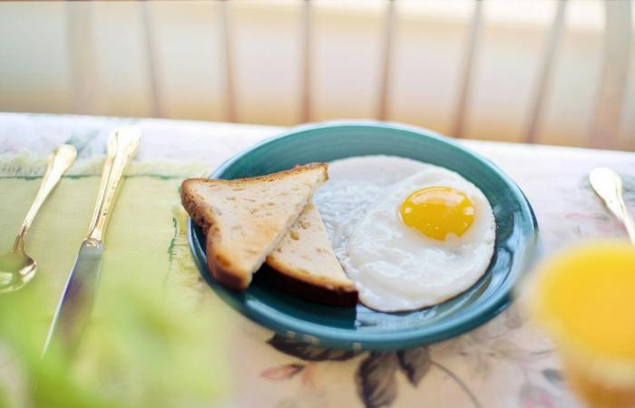 دراسة:
      شيخوخة
      الأمعاء
      تزيد
      من
      تدهور
      القدرات
      الإدراكية