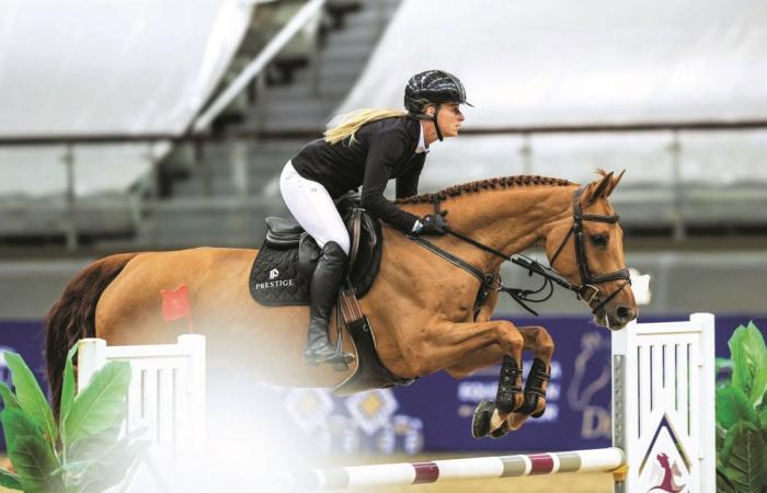 «جولات الدوحة للفروسية» تنجح في نقل 147 خيلًا من الدوحة إلى أوروبا