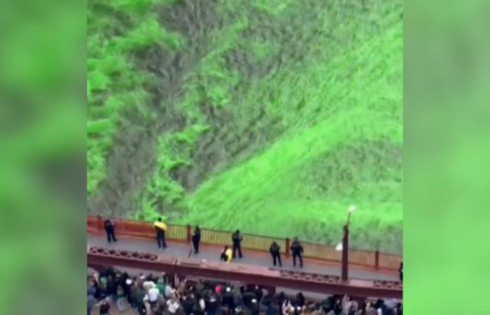 نهر شيكاغو الأمريكي يكتسي باللون الأخضر.. شاهد السبب