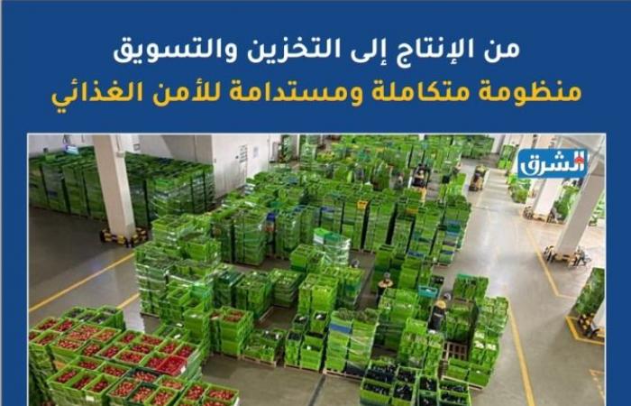 البلدية: اكتفاء ذاتي من الخضراوات والدواجن والألبان