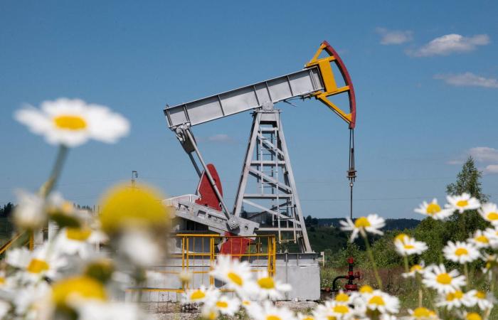 قرار
      ترمب
      بشأن
      النفط
      الروسي
      يرفد
      خزينة
      الكرملين
      بمليارات
      الدولارات