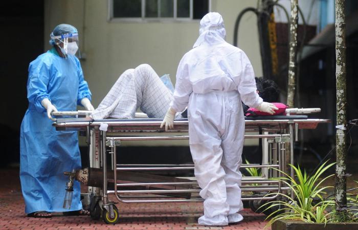 فيروس "نيباه".. ما علاقته بالخفافيش وما مدى خطورته على البشر؟