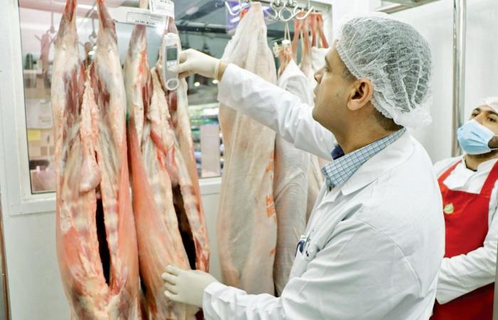 المقاصب ترفع طاقتها التشغيلية وتمدد ساعات العمل