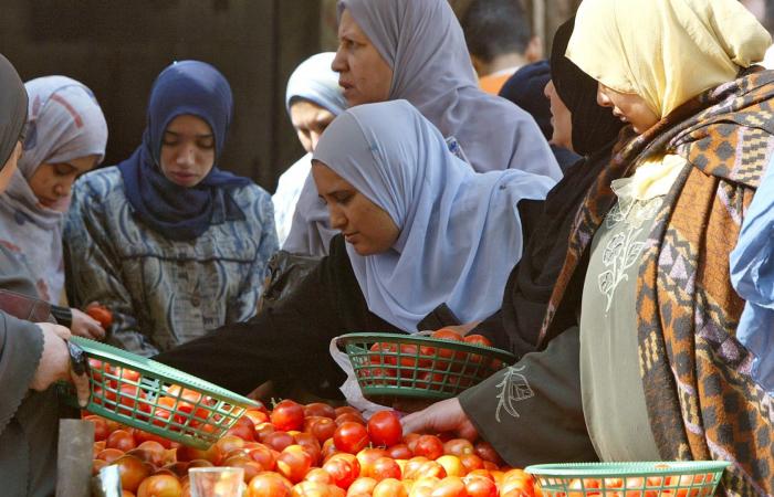 مصر: "قفزة قياسية" في أسعار الطماطم بسبب "ظروف استثنائية".. ما القصة؟