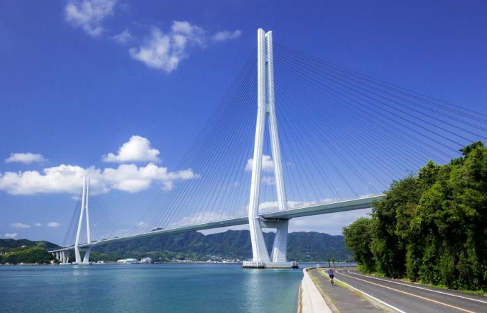 جزيرة أرانب وشجرة تحقق الأمنيات.. هذا ما ينتظرك في أرخبيل ياباني ساحر