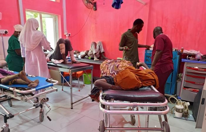 15
      قتيلا
      ًعلى
      الأقل
      في
      تشاد
      جراء
      هجوم
      بمسيرة
      انطلقت
      من
      السودان