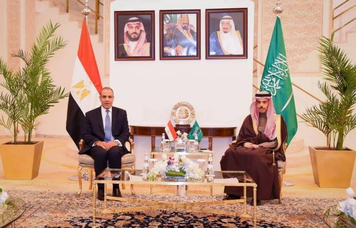 مصر
      تحذر
      من
      محاولات
      تقويض
      علاقاتها
      بالدول
      العربية
      عبر
      السجالات
      الإعلامية