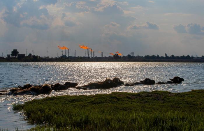 أسواق
      آسيا
      تتنفس
      الصعداء
      قبيل
      قرار
      «الفيدرالي»