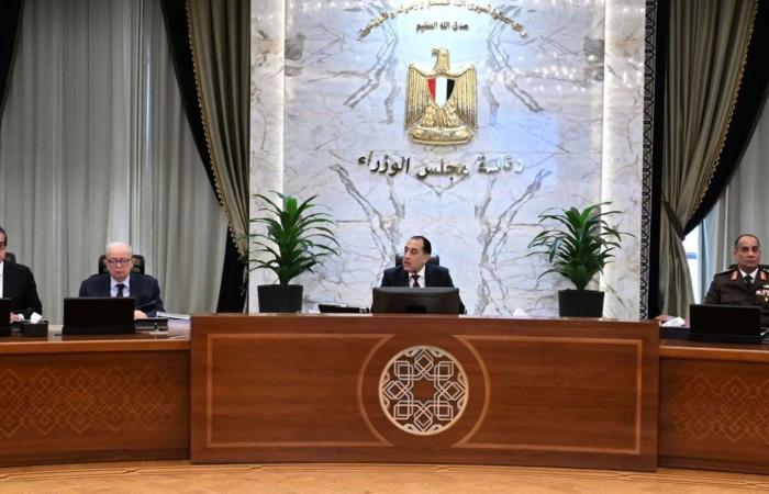 مصر تدرس تطبيق العمل عن بعد لمواجهة ضغوط الطاقة جراء حرب إيران.. ما تعليق الخبراء؟