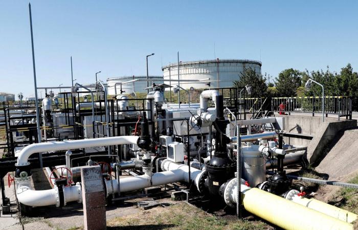 هولندا
      تُوقف
      عمليات
      الترحيل
      إلى
      إيران
      وسط
      مخاوف
      أمنية