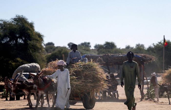 تشاد
      ترفع
      التأهب
      الأمني
      على
      الحدود
      مع
      السودان