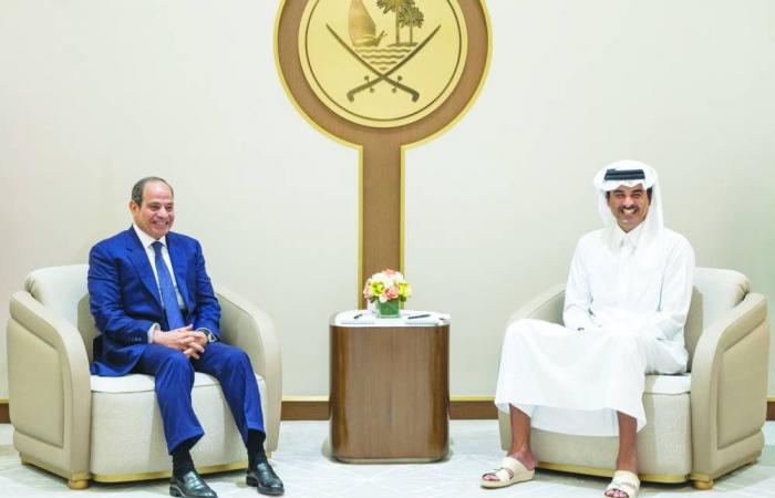 صاحب السمو والرئيس المصري يبحثان التطورات