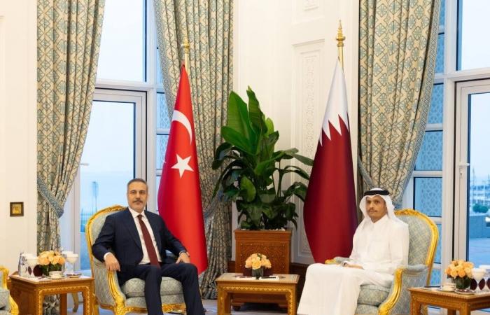 رئيس الوزراء يستقبل وزير الخارجية التركي