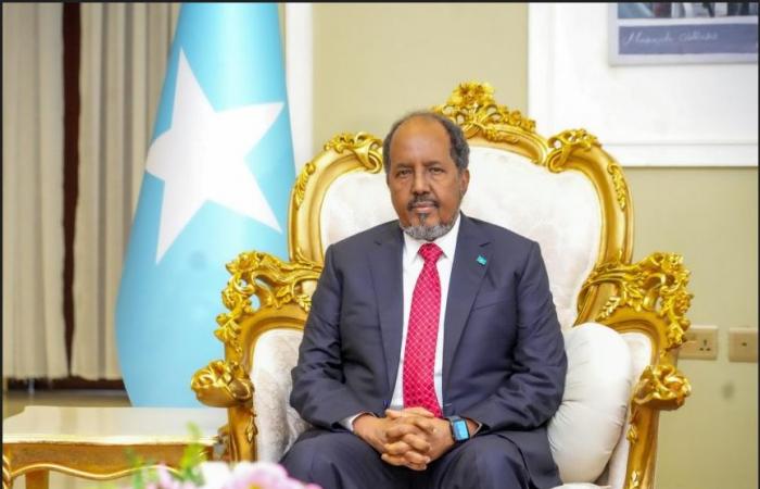 تشديد
      مصري
      -
      تركي
      على
       أهمية
      «التهدئة»
      في
      السودان