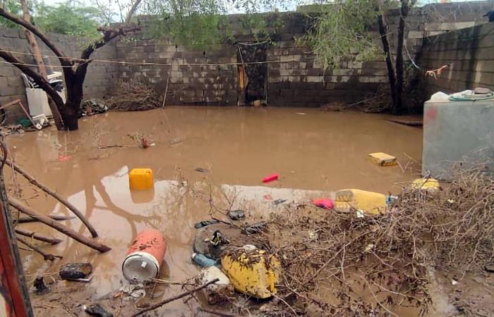 الخطر
      يحدق
      باليمنيين
      جراء
      تصاعد
      النزوح
      ونقص
      الغذاء