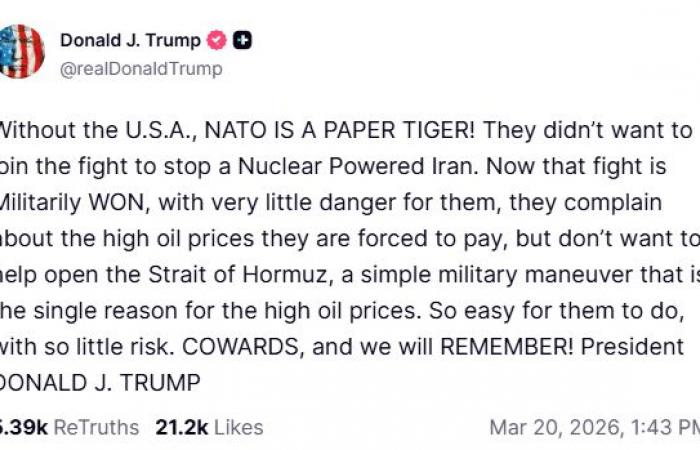 ترمب
      يهاجم
      «الناتو»:
      «نمر
      من
      ورق»
      وأعضاؤه
      «جبناء»