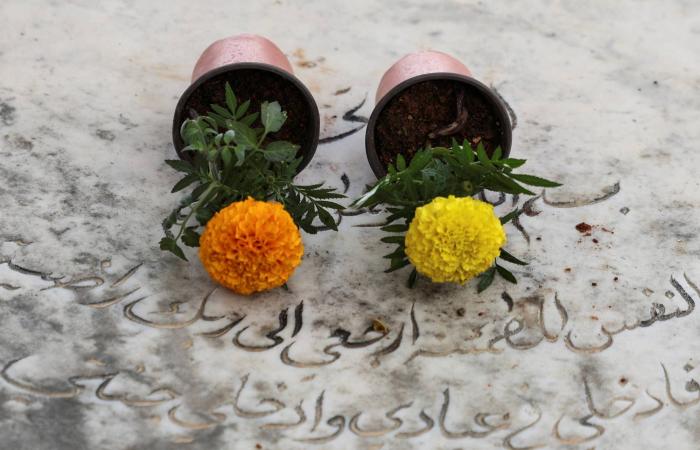 عيد
      الفطر
      هذا
      العام...
      بهجة
      متردِّدة
      وأملٌ
      لا
      ينطفئ