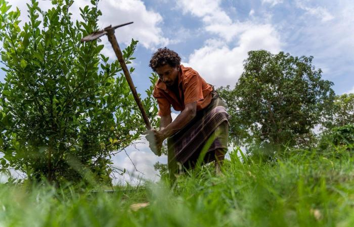 مشروع
      دولي
      يعيد
      الخدمات
      ويعزز
      صمود
      المدن
      اليمنية