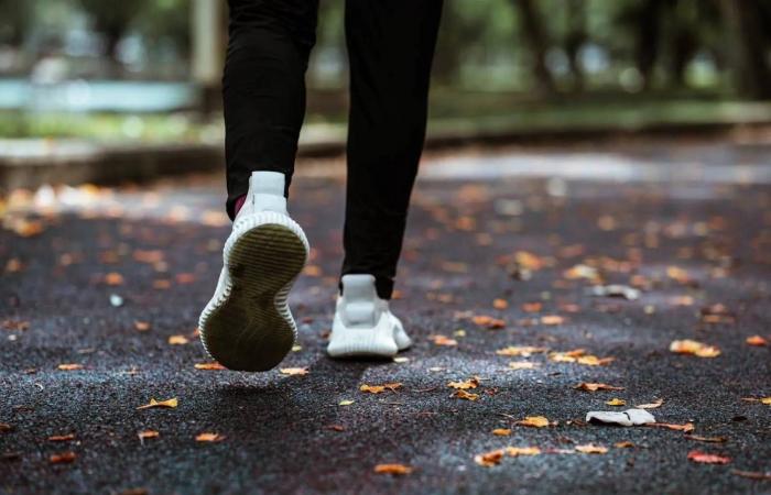 مصر
      تنتهي
      من
      ترميم
      مبانٍ
      أثرية
      بقلعة
      صلاح
      الدين